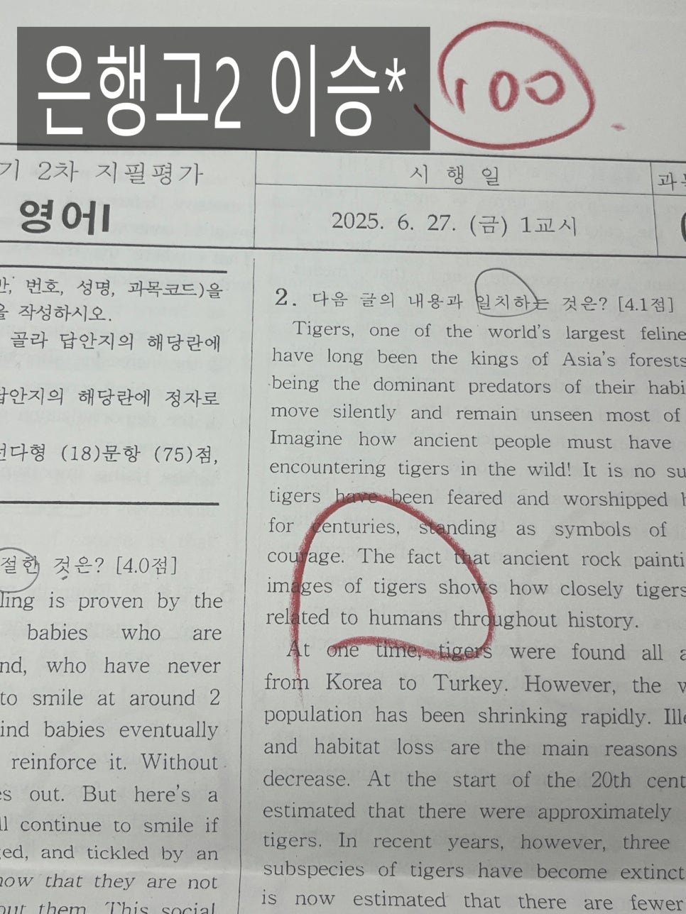 은행고2 영어 100점 시험지