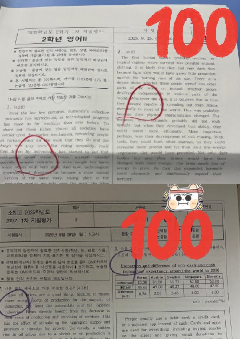 영어 100점 시험지